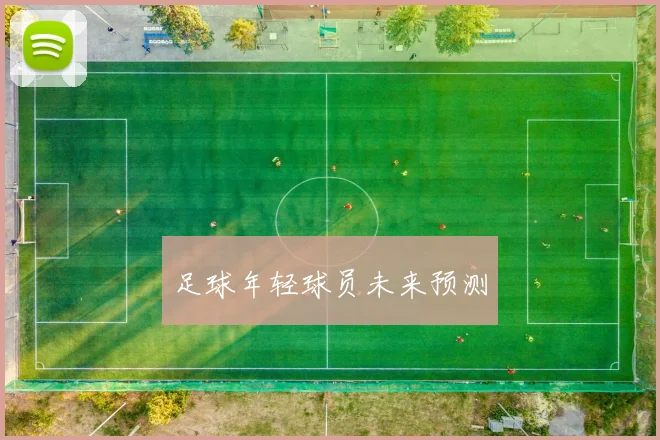 足球年轻球员未来预测