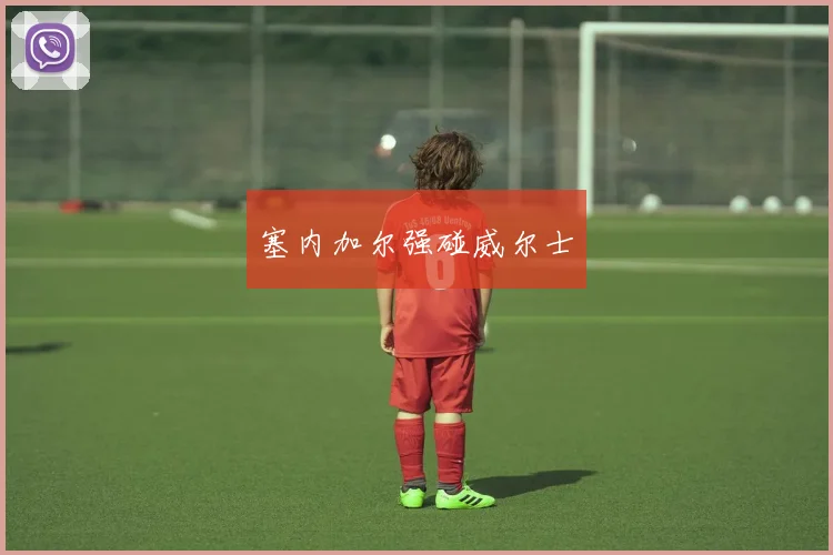 塞内加尔强碰威尔士
